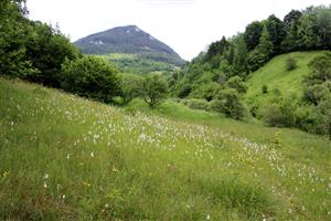 celkový pohľad na lokalitu.